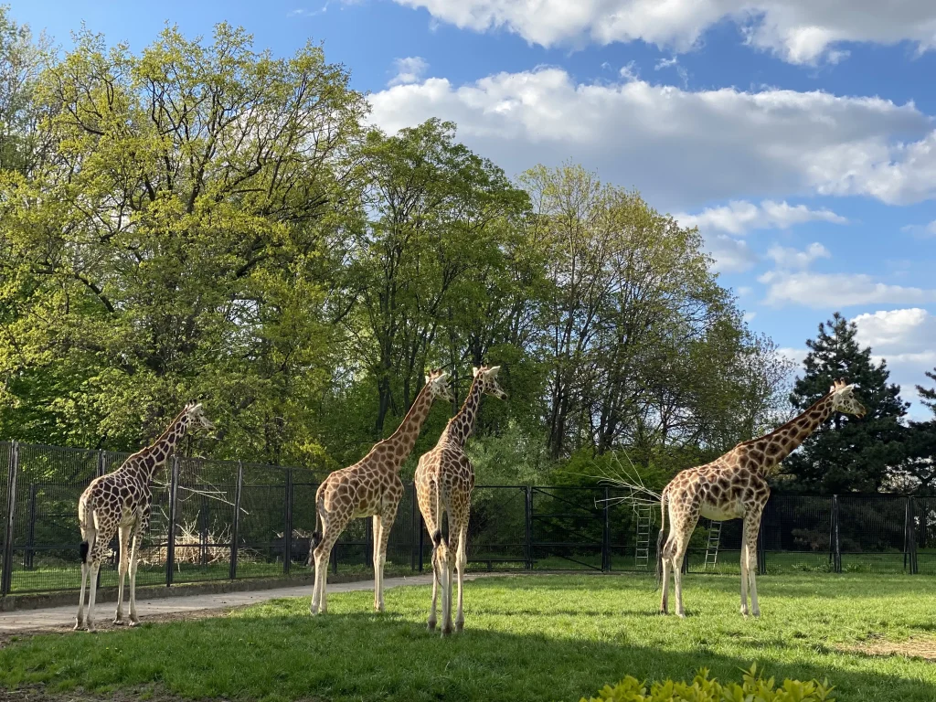 Miejski Ogród Zoologiczny im. Antoniny i Jana Żabińskich w Warszawie