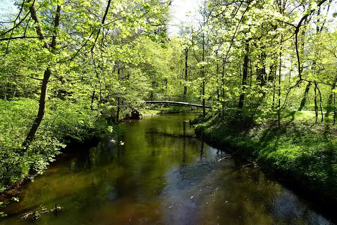 Park Miejski w Zwierzyńcu