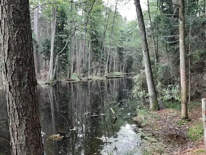 Czarny Staw Zwierzyniec