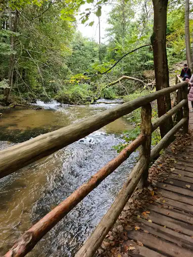 Szumy nad Tanwią