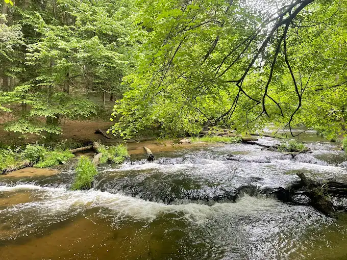 Szumy nad Tanwią