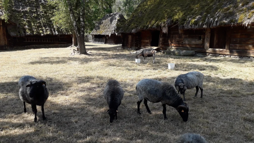 Muzeum Wsi Opolskiej